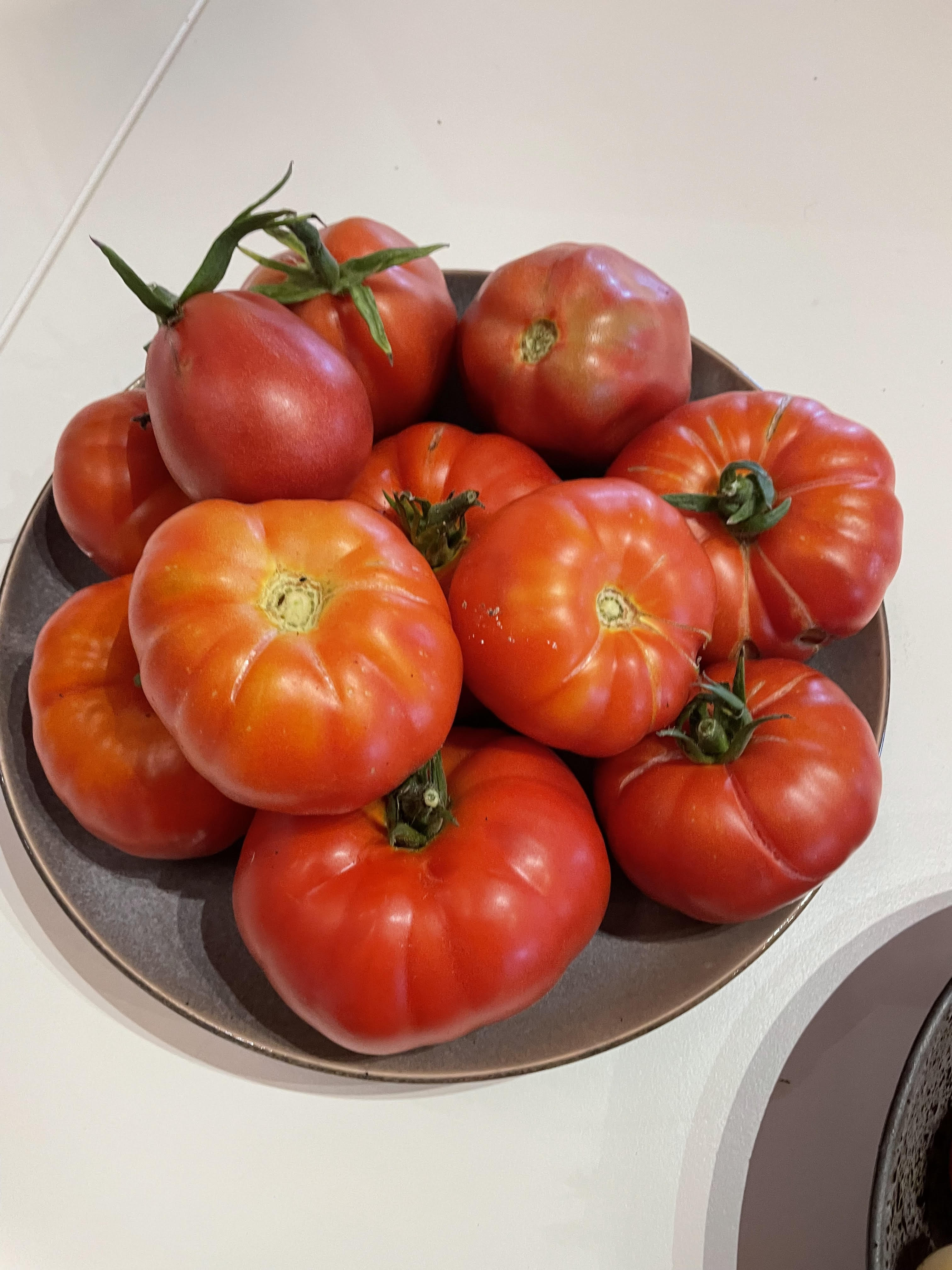 tomaten.jpg